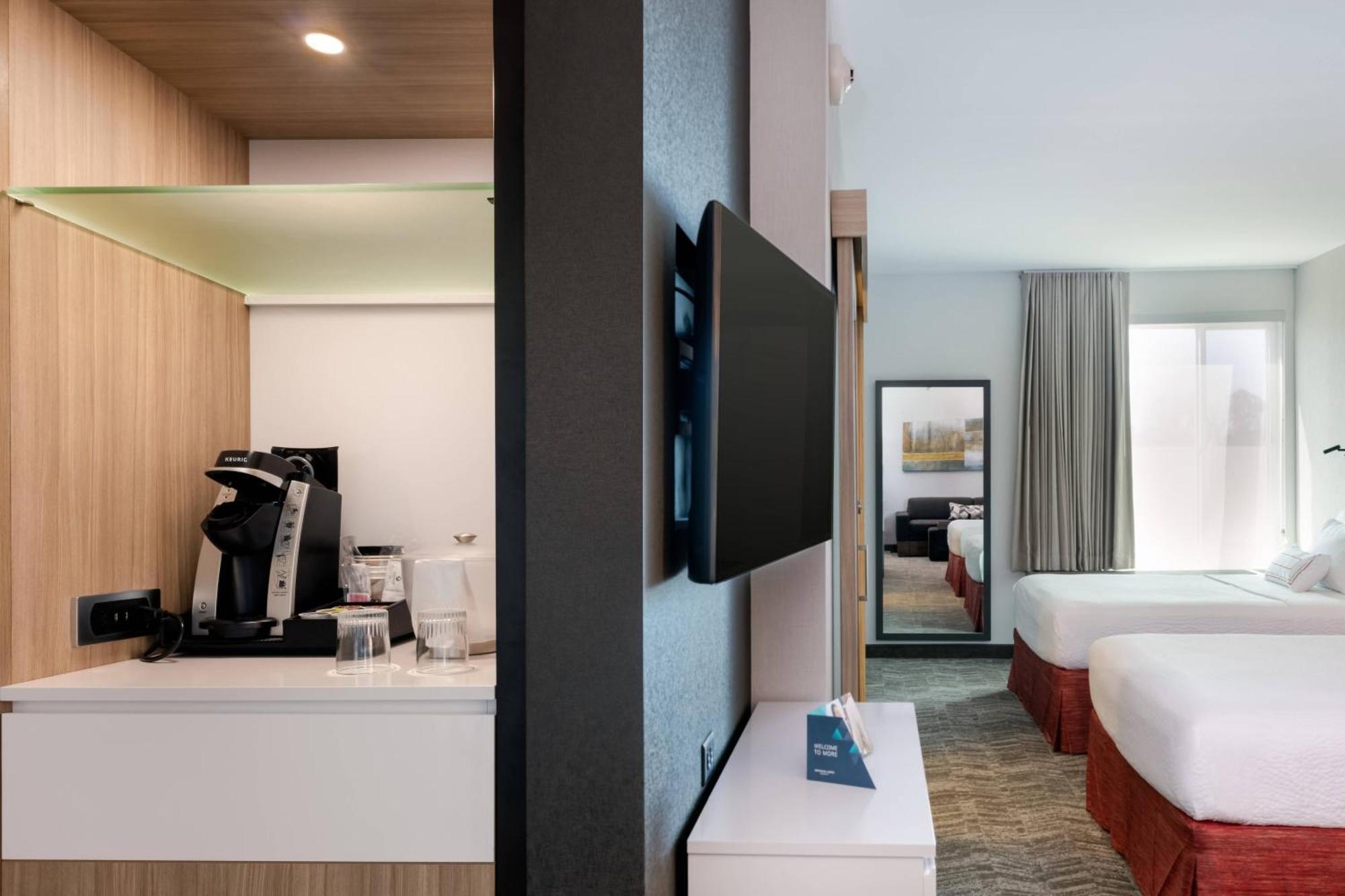 Springhill Suites By Marriott Chattanooga South/Ringgold Exterior photo